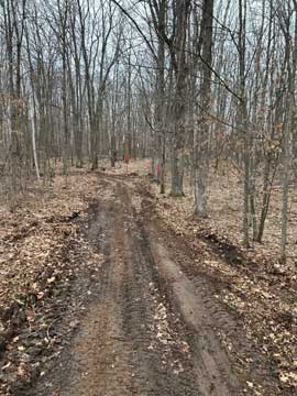 AlanDale Trail work day April 11 2026